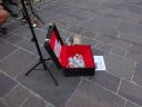 DSC08831.jpg